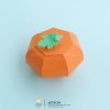 ABÓBORA - Imagem 2